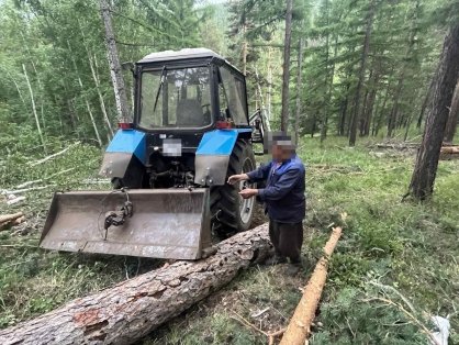 В Иволгинском районе в рамках доследственной проверки устанавливаются обстоятельства смерти мужчины на деляне во время заготовки леса